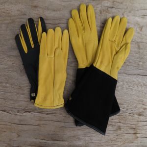 Gold Leaf Gloves & Gauntlets 