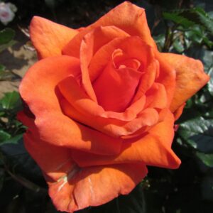 Wonderful You - Image 2