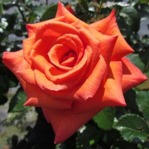 Wonderful You - Image 3