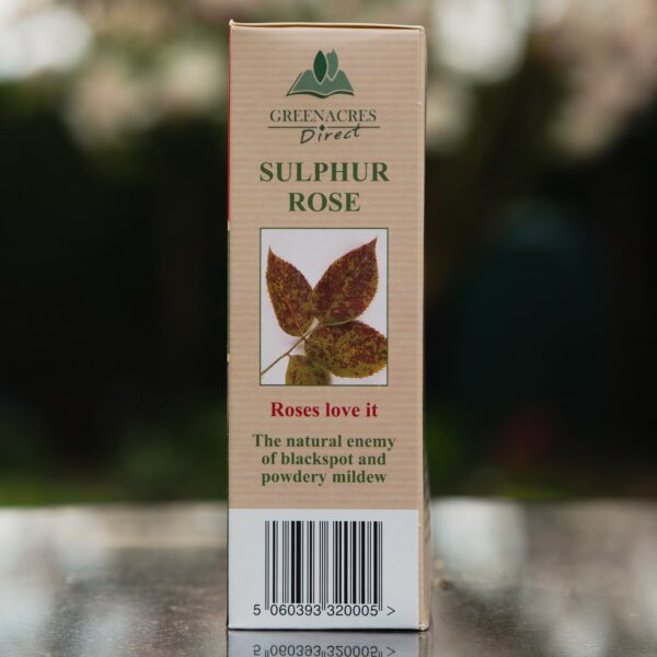 Uncle Tom's Rose Tonic