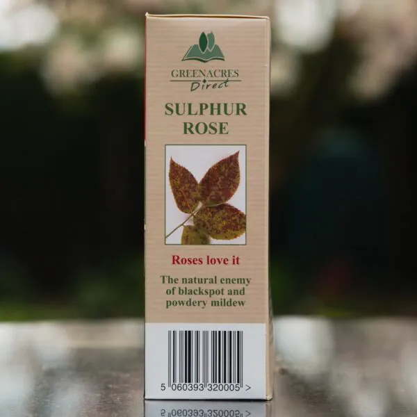 Uncle Tom's Rose Tonic