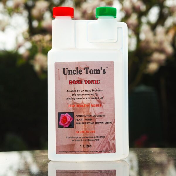 Uncle Tom's Rose Tonic