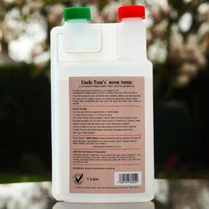 Uncle Tom's Rose Tonic - Image 2