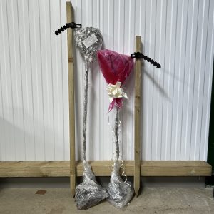 Wrapped rose saplings